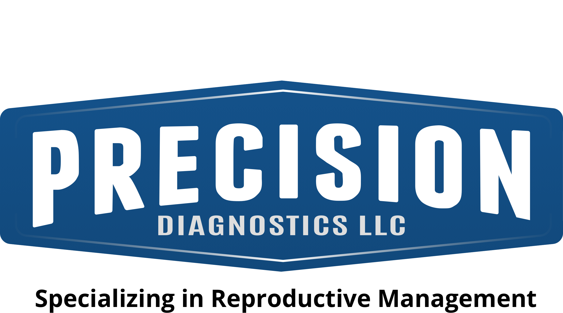 Precision Diagnostics LLC