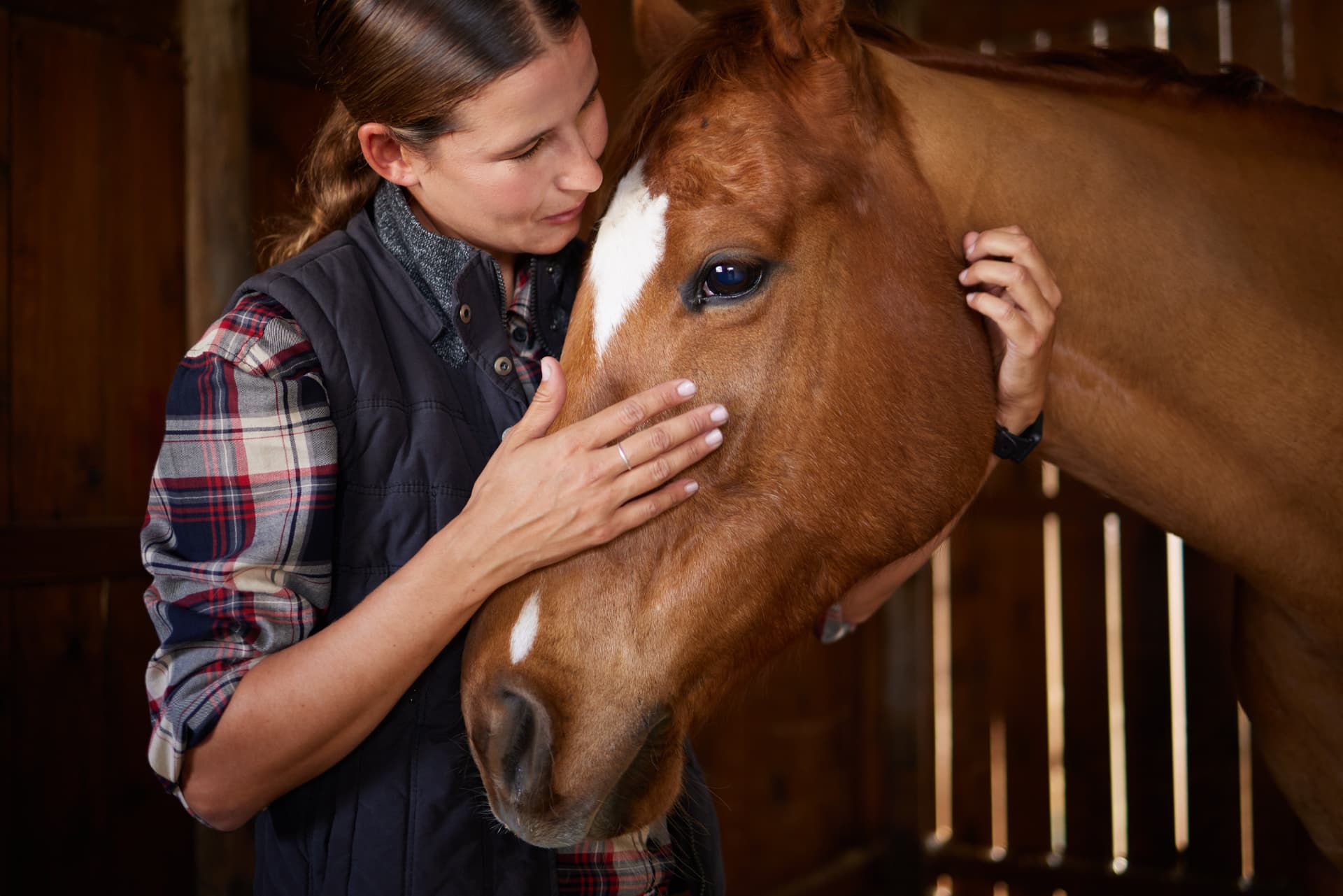 Horse owner gently petting her chestnut horse in a stable